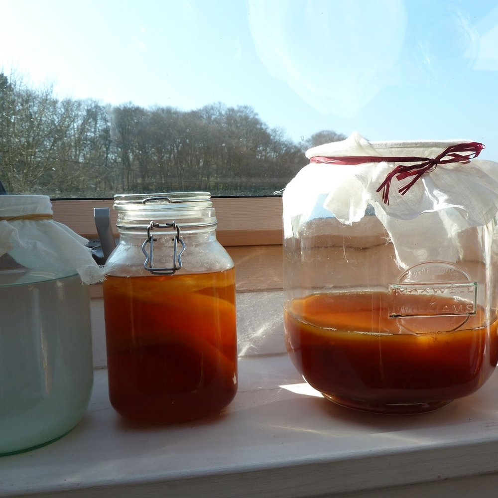 Kombucha.jpg