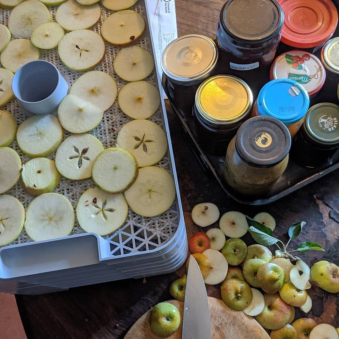 Every surface is covered with my fevered attempts to preserve the Summer. These Cox's Orange Pippin are the best since the year we moved in 13 years ago. #preserving #apples #cox #moving